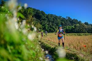 BIB: 
                            <button type="button" onclick="openModal(26573168)" class="btn btn-primary btn-sm float-right btn-popup" data-toggle="modal" data-target=".modal-high-quality">
                        <i class="fas fa-shopping-cart"></i> Add to Cart
                    </button>
                                            <button type="button" onclick="isThisMe(26573168, true)" class="btn btn-success btn-sm float-right btn-popup btn-isme hidden" data-toggle="tooltip" data-placement="bottom" title="นี่คือรูปของคุณใช่ไหม คลิกที่นี่เพื่อเอาเข้าอัลบั้ม">
                        <i class="fas fa-plus"></i> Add to album
                    </button>
                    <button type="button" onclick="isThisMe(26573168, false)" class="btn btn-warning btn-sm float-right btn-popup btn-isnotme hidden">
                        <i class="fas fa-ban"></i> Remove from album
                    </button>