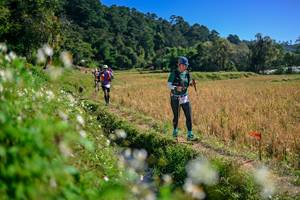 BIB: 
                            <button type="button" onclick="openModal(26576509)" class="btn btn-primary btn-sm float-right btn-popup" data-toggle="modal" data-target=".modal-high-quality">
                        <i class="fas fa-shopping-cart"></i> Add to Cart
                    </button>
                                            <button type="button" onclick="isThisMe(26576509, true)" class="btn btn-success btn-sm float-right btn-popup btn-isme hidden" data-toggle="tooltip" data-placement="bottom" title="นี่คือรูปของคุณใช่ไหม คลิกที่นี่เพื่อเอาเข้าอัลบั้ม">
                        <i class="fas fa-plus"></i> Add to album
                    </button>
                    <button type="button" onclick="isThisMe(26576509, false)" class="btn btn-warning btn-sm float-right btn-popup btn-isnotme hidden">
                        <i class="fas fa-ban"></i> Remove from album
                    </button>