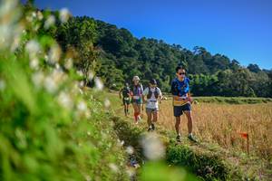 BIB: 
                            <button type="button" onclick="openModal(26571754)" class="btn btn-primary btn-sm float-right btn-popup" data-toggle="modal" data-target=".modal-high-quality">
                        <i class="fas fa-shopping-cart"></i> Add to Cart
                    </button>
                                            <button type="button" onclick="isThisMe(26571754, true)" class="btn btn-success btn-sm float-right btn-popup btn-isme hidden" data-toggle="tooltip" data-placement="bottom" title="นี่คือรูปของคุณใช่ไหม คลิกที่นี่เพื่อเอาเข้าอัลบั้ม">
                        <i class="fas fa-plus"></i> Add to album
                    </button>
                    <button type="button" onclick="isThisMe(26571754, false)" class="btn btn-warning btn-sm float-right btn-popup btn-isnotme hidden">
                        <i class="fas fa-ban"></i> Remove from album
                    </button>