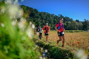 BIB: 
                            <button type="button" onclick="openModal(26572195)" class="btn btn-primary btn-sm float-right btn-popup" data-toggle="modal" data-target=".modal-high-quality">
                        <i class="fas fa-shopping-cart"></i> Add to Cart
                    </button>
                                            <button type="button" onclick="isThisMe(26572195, true)" class="btn btn-success btn-sm float-right btn-popup btn-isme hidden" data-toggle="tooltip" data-placement="bottom" title="นี่คือรูปของคุณใช่ไหม คลิกที่นี่เพื่อเอาเข้าอัลบั้ม">
                        <i class="fas fa-plus"></i> Add to album
                    </button>
                    <button type="button" onclick="isThisMe(26572195, false)" class="btn btn-warning btn-sm float-right btn-popup btn-isnotme hidden">
                        <i class="fas fa-ban"></i> Remove from album
                    </button>