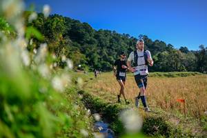 BIB: 
                            <button type="button" onclick="openModal(26573199)" class="btn btn-primary btn-sm float-right btn-popup" data-toggle="modal" data-target=".modal-high-quality">
                        <i class="fas fa-shopping-cart"></i> Add to Cart
                    </button>
                                            <button type="button" onclick="isThisMe(26573199, true)" class="btn btn-success btn-sm float-right btn-popup btn-isme hidden" data-toggle="tooltip" data-placement="bottom" title="นี่คือรูปของคุณใช่ไหม คลิกที่นี่เพื่อเอาเข้าอัลบั้ม">
                        <i class="fas fa-plus"></i> Add to album
                    </button>
                    <button type="button" onclick="isThisMe(26573199, false)" class="btn btn-warning btn-sm float-right btn-popup btn-isnotme hidden">
                        <i class="fas fa-ban"></i> Remove from album
                    </button>