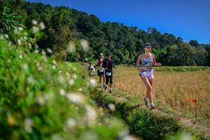 BIB: 
                            <button type="button" onclick="openModal(26582162)" class="btn btn-primary btn-sm float-right btn-popup" data-toggle="modal" data-target=".modal-high-quality">
                        <i class="fas fa-shopping-cart"></i> Add to Cart
                    </button>
                                            <button type="button" onclick="isThisMe(26582162, true)" class="btn btn-success btn-sm float-right btn-popup btn-isme hidden" data-toggle="tooltip" data-placement="bottom" title="นี่คือรูปของคุณใช่ไหม คลิกที่นี่เพื่อเอาเข้าอัลบั้ม">
                        <i class="fas fa-plus"></i> Add to album
                    </button>
                    <button type="button" onclick="isThisMe(26582162, false)" class="btn btn-warning btn-sm float-right btn-popup btn-isnotme hidden">
                        <i class="fas fa-ban"></i> Remove from album
                    </button>