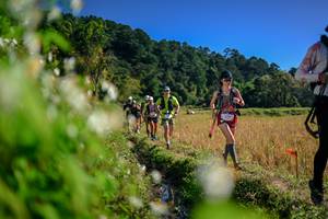 BIB: 
                            <button type="button" onclick="openModal(26573997)" class="btn btn-primary btn-sm float-right btn-popup" data-toggle="modal" data-target=".modal-high-quality">
                        <i class="fas fa-shopping-cart"></i> Add to Cart
                    </button>
                                            <button type="button" onclick="isThisMe(26573997, true)" class="btn btn-success btn-sm float-right btn-popup btn-isme hidden" data-toggle="tooltip" data-placement="bottom" title="นี่คือรูปของคุณใช่ไหม คลิกที่นี่เพื่อเอาเข้าอัลบั้ม">
                        <i class="fas fa-plus"></i> Add to album
                    </button>
                    <button type="button" onclick="isThisMe(26573997, false)" class="btn btn-warning btn-sm float-right btn-popup btn-isnotme hidden">
                        <i class="fas fa-ban"></i> Remove from album
                    </button>