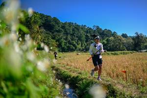 BIB: 
                            <button type="button" onclick="openModal(26573603)" class="btn btn-primary btn-sm float-right btn-popup" data-toggle="modal" data-target=".modal-high-quality">
                        <i class="fas fa-shopping-cart"></i> Add to Cart
                    </button>
                                            <button type="button" onclick="isThisMe(26573603, true)" class="btn btn-success btn-sm float-right btn-popup btn-isme hidden" data-toggle="tooltip" data-placement="bottom" title="นี่คือรูปของคุณใช่ไหม คลิกที่นี่เพื่อเอาเข้าอัลบั้ม">
                        <i class="fas fa-plus"></i> Add to album
                    </button>
                    <button type="button" onclick="isThisMe(26573603, false)" class="btn btn-warning btn-sm float-right btn-popup btn-isnotme hidden">
                        <i class="fas fa-ban"></i> Remove from album
                    </button>