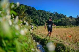 BIB: 
                            <button type="button" onclick="openModal(26573591)" class="btn btn-primary btn-sm float-right btn-popup" data-toggle="modal" data-target=".modal-high-quality">
                        <i class="fas fa-shopping-cart"></i> Add to Cart
                    </button>
                                            <button type="button" onclick="isThisMe(26573591, true)" class="btn btn-success btn-sm float-right btn-popup btn-isme hidden" data-toggle="tooltip" data-placement="bottom" title="นี่คือรูปของคุณใช่ไหม คลิกที่นี่เพื่อเอาเข้าอัลบั้ม">
                        <i class="fas fa-plus"></i> Add to album
                    </button>
                    <button type="button" onclick="isThisMe(26573591, false)" class="btn btn-warning btn-sm float-right btn-popup btn-isnotme hidden">
                        <i class="fas fa-ban"></i> Remove from album
                    </button>