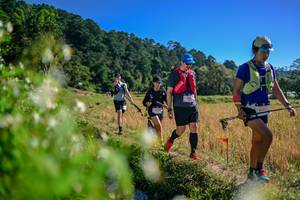 BIB: 
                            <button type="button" onclick="openModal(26579636)" class="btn btn-primary btn-sm float-right btn-popup" data-toggle="modal" data-target=".modal-high-quality">
                        <i class="fas fa-shopping-cart"></i> Add to Cart
                    </button>
                                            <button type="button" onclick="isThisMe(26579636, true)" class="btn btn-success btn-sm float-right btn-popup btn-isme hidden" data-toggle="tooltip" data-placement="bottom" title="นี่คือรูปของคุณใช่ไหม คลิกที่นี่เพื่อเอาเข้าอัลบั้ม">
                        <i class="fas fa-plus"></i> Add to album
                    </button>
                    <button type="button" onclick="isThisMe(26579636, false)" class="btn btn-warning btn-sm float-right btn-popup btn-isnotme hidden">
                        <i class="fas fa-ban"></i> Remove from album
                    </button>