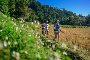 BIB: 
                            <button type="button" onclick="openModal(26571364)" class="btn btn-primary btn-sm float-right btn-popup" data-toggle="modal" data-target=".modal-high-quality">
                        <i class="fas fa-shopping-cart"></i> Add to Cart
                    </button>
                                            <button type="button" onclick="isThisMe(26571364, true)" class="btn btn-success btn-sm float-right btn-popup btn-isme hidden" data-toggle="tooltip" data-placement="bottom" title="นี่คือรูปของคุณใช่ไหม คลิกที่นี่เพื่อเอาเข้าอัลบั้ม">
                        <i class="fas fa-plus"></i> Add to album
                    </button>
                    <button type="button" onclick="isThisMe(26571364, false)" class="btn btn-warning btn-sm float-right btn-popup btn-isnotme hidden">
                        <i class="fas fa-ban"></i> Remove from album
                    </button>