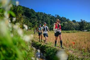 BIB: 
                            <button type="button" onclick="openModal(26574962)" class="btn btn-primary btn-sm float-right btn-popup" data-toggle="modal" data-target=".modal-high-quality">
                        <i class="fas fa-shopping-cart"></i> Add to Cart
                    </button>
                                            <button type="button" onclick="isThisMe(26574962, true)" class="btn btn-success btn-sm float-right btn-popup btn-isme hidden" data-toggle="tooltip" data-placement="bottom" title="นี่คือรูปของคุณใช่ไหม คลิกที่นี่เพื่อเอาเข้าอัลบั้ม">
                        <i class="fas fa-plus"></i> Add to album
                    </button>
                    <button type="button" onclick="isThisMe(26574962, false)" class="btn btn-warning btn-sm float-right btn-popup btn-isnotme hidden">
                        <i class="fas fa-ban"></i> Remove from album
                    </button>