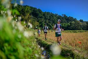 BIB: 
                            <button type="button" onclick="openModal(26573726)" class="btn btn-primary btn-sm float-right btn-popup" data-toggle="modal" data-target=".modal-high-quality">
                        <i class="fas fa-shopping-cart"></i> Add to Cart
                    </button>
                                            <button type="button" onclick="isThisMe(26573726, true)" class="btn btn-success btn-sm float-right btn-popup btn-isme hidden" data-toggle="tooltip" data-placement="bottom" title="นี่คือรูปของคุณใช่ไหม คลิกที่นี่เพื่อเอาเข้าอัลบั้ม">
                        <i class="fas fa-plus"></i> Add to album
                    </button>
                    <button type="button" onclick="isThisMe(26573726, false)" class="btn btn-warning btn-sm float-right btn-popup btn-isnotme hidden">
                        <i class="fas fa-ban"></i> Remove from album
                    </button>