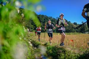 BIB: 
                            <button type="button" onclick="openModal(26580996)" class="btn btn-primary btn-sm float-right btn-popup" data-toggle="modal" data-target=".modal-high-quality">
                        <i class="fas fa-shopping-cart"></i> Add to Cart
                    </button>
                                            <button type="button" onclick="isThisMe(26580996, true)" class="btn btn-success btn-sm float-right btn-popup btn-isme hidden" data-toggle="tooltip" data-placement="bottom" title="นี่คือรูปของคุณใช่ไหม คลิกที่นี่เพื่อเอาเข้าอัลบั้ม">
                        <i class="fas fa-plus"></i> Add to album
                    </button>
                    <button type="button" onclick="isThisMe(26580996, false)" class="btn btn-warning btn-sm float-right btn-popup btn-isnotme hidden">
                        <i class="fas fa-ban"></i> Remove from album
                    </button>