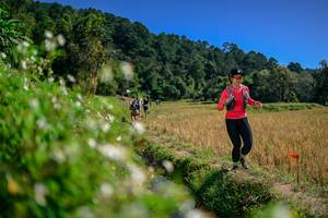 BIB: 
                            <button type="button" onclick="openModal(26582274)" class="btn btn-primary btn-sm float-right btn-popup" data-toggle="modal" data-target=".modal-high-quality">
                        <i class="fas fa-shopping-cart"></i> Add to Cart
                    </button>
                                            <button type="button" onclick="isThisMe(26582274, true)" class="btn btn-success btn-sm float-right btn-popup btn-isme hidden" data-toggle="tooltip" data-placement="bottom" title="นี่คือรูปของคุณใช่ไหม คลิกที่นี่เพื่อเอาเข้าอัลบั้ม">
                        <i class="fas fa-plus"></i> Add to album
                    </button>
                    <button type="button" onclick="isThisMe(26582274, false)" class="btn btn-warning btn-sm float-right btn-popup btn-isnotme hidden">
                        <i class="fas fa-ban"></i> Remove from album
                    </button>