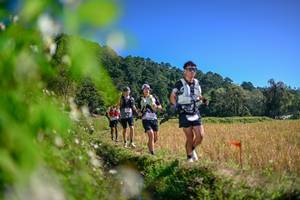 BIB: 
                            <button type="button" onclick="openModal(26580977)" class="btn btn-primary btn-sm float-right btn-popup" data-toggle="modal" data-target=".modal-high-quality">
                        <i class="fas fa-shopping-cart"></i> Add to Cart
                    </button>
                                            <button type="button" onclick="isThisMe(26580977, true)" class="btn btn-success btn-sm float-right btn-popup btn-isme hidden" data-toggle="tooltip" data-placement="bottom" title="นี่คือรูปของคุณใช่ไหม คลิกที่นี่เพื่อเอาเข้าอัลบั้ม">
                        <i class="fas fa-plus"></i> Add to album
                    </button>
                    <button type="button" onclick="isThisMe(26580977, false)" class="btn btn-warning btn-sm float-right btn-popup btn-isnotme hidden">
                        <i class="fas fa-ban"></i> Remove from album
                    </button>