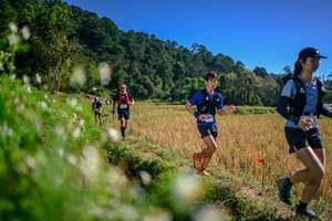 BIB: 
                            <button type="button" onclick="openModal(26576109)" class="btn btn-primary btn-sm float-right btn-popup" data-toggle="modal" data-target=".modal-high-quality">
                        <i class="fas fa-shopping-cart"></i> Add to Cart
                    </button>
                                            <button type="button" onclick="isThisMe(26576109, true)" class="btn btn-success btn-sm float-right btn-popup btn-isme hidden" data-toggle="tooltip" data-placement="bottom" title="นี่คือรูปของคุณใช่ไหม คลิกที่นี่เพื่อเอาเข้าอัลบั้ม">
                        <i class="fas fa-plus"></i> Add to album
                    </button>
                    <button type="button" onclick="isThisMe(26576109, false)" class="btn btn-warning btn-sm float-right btn-popup btn-isnotme hidden">
                        <i class="fas fa-ban"></i> Remove from album
                    </button>