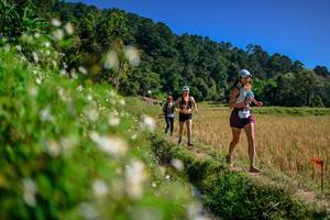 BIB: 
                            <button type="button" onclick="openModal(26583101)" class="btn btn-primary btn-sm float-right btn-popup" data-toggle="modal" data-target=".modal-high-quality">
                        <i class="fas fa-shopping-cart"></i> Add to Cart
                    </button>
                                            <button type="button" onclick="isThisMe(26583101, true)" class="btn btn-success btn-sm float-right btn-popup btn-isme hidden" data-toggle="tooltip" data-placement="bottom" title="นี่คือรูปของคุณใช่ไหม คลิกที่นี่เพื่อเอาเข้าอัลบั้ม">
                        <i class="fas fa-plus"></i> Add to album
                    </button>
                    <button type="button" onclick="isThisMe(26583101, false)" class="btn btn-warning btn-sm float-right btn-popup btn-isnotme hidden">
                        <i class="fas fa-ban"></i> Remove from album
                    </button>