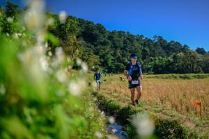 BIB: 
                            <button type="button" onclick="openModal(26572910)" class="btn btn-primary btn-sm float-right btn-popup" data-toggle="modal" data-target=".modal-high-quality">
                        <i class="fas fa-shopping-cart"></i> Add to Cart
                    </button>
                                            <button type="button" onclick="isThisMe(26572910, true)" class="btn btn-success btn-sm float-right btn-popup btn-isme hidden" data-toggle="tooltip" data-placement="bottom" title="นี่คือรูปของคุณใช่ไหม คลิกที่นี่เพื่อเอาเข้าอัลบั้ม">
                        <i class="fas fa-plus"></i> Add to album
                    </button>
                    <button type="button" onclick="isThisMe(26572910, false)" class="btn btn-warning btn-sm float-right btn-popup btn-isnotme hidden">
                        <i class="fas fa-ban"></i> Remove from album
                    </button>