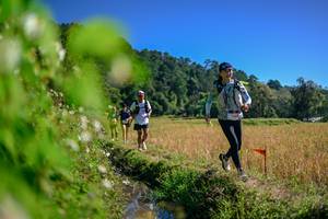 BIB: 
                            <button type="button" onclick="openModal(26580831)" class="btn btn-primary btn-sm float-right btn-popup" data-toggle="modal" data-target=".modal-high-quality">
                        <i class="fas fa-shopping-cart"></i> Add to Cart
                    </button>
                                            <button type="button" onclick="isThisMe(26580831, true)" class="btn btn-success btn-sm float-right btn-popup btn-isme hidden" data-toggle="tooltip" data-placement="bottom" title="นี่คือรูปของคุณใช่ไหม คลิกที่นี่เพื่อเอาเข้าอัลบั้ม">
                        <i class="fas fa-plus"></i> Add to album
                    </button>
                    <button type="button" onclick="isThisMe(26580831, false)" class="btn btn-warning btn-sm float-right btn-popup btn-isnotme hidden">
                        <i class="fas fa-ban"></i> Remove from album
                    </button>