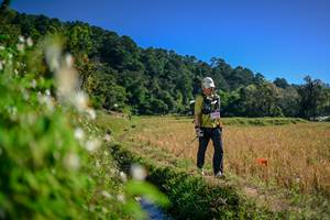 BIB: 
                            <button type="button" onclick="openModal(26575939)" class="btn btn-primary btn-sm float-right btn-popup" data-toggle="modal" data-target=".modal-high-quality">
                        <i class="fas fa-shopping-cart"></i> Add to Cart
                    </button>
                                            <button type="button" onclick="isThisMe(26575939, true)" class="btn btn-success btn-sm float-right btn-popup btn-isme hidden" data-toggle="tooltip" data-placement="bottom" title="นี่คือรูปของคุณใช่ไหม คลิกที่นี่เพื่อเอาเข้าอัลบั้ม">
                        <i class="fas fa-plus"></i> Add to album
                    </button>
                    <button type="button" onclick="isThisMe(26575939, false)" class="btn btn-warning btn-sm float-right btn-popup btn-isnotme hidden">
                        <i class="fas fa-ban"></i> Remove from album
                    </button>