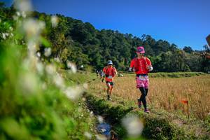 BIB: 
                            <button type="button" onclick="openModal(26574199)" class="btn btn-primary btn-sm float-right btn-popup" data-toggle="modal" data-target=".modal-high-quality">
                        <i class="fas fa-shopping-cart"></i> Add to Cart
                    </button>
                                            <button type="button" onclick="isThisMe(26574199, true)" class="btn btn-success btn-sm float-right btn-popup btn-isme hidden" data-toggle="tooltip" data-placement="bottom" title="นี่คือรูปของคุณใช่ไหม คลิกที่นี่เพื่อเอาเข้าอัลบั้ม">
                        <i class="fas fa-plus"></i> Add to album
                    </button>
                    <button type="button" onclick="isThisMe(26574199, false)" class="btn btn-warning btn-sm float-right btn-popup btn-isnotme hidden">
                        <i class="fas fa-ban"></i> Remove from album
                    </button>