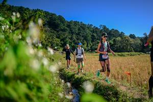 BIB: 
                            <button type="button" onclick="openModal(26575545)" class="btn btn-primary btn-sm float-right btn-popup" data-toggle="modal" data-target=".modal-high-quality">
                        <i class="fas fa-shopping-cart"></i> Add to Cart
                    </button>
                                            <button type="button" onclick="isThisMe(26575545, true)" class="btn btn-success btn-sm float-right btn-popup btn-isme hidden" data-toggle="tooltip" data-placement="bottom" title="นี่คือรูปของคุณใช่ไหม คลิกที่นี่เพื่อเอาเข้าอัลบั้ม">
                        <i class="fas fa-plus"></i> Add to album
                    </button>
                    <button type="button" onclick="isThisMe(26575545, false)" class="btn btn-warning btn-sm float-right btn-popup btn-isnotme hidden">
                        <i class="fas fa-ban"></i> Remove from album
                    </button>