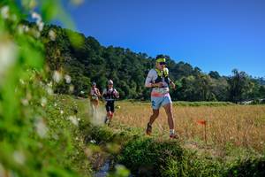 BIB: 
                            <button type="button" onclick="openModal(26579880)" class="btn btn-primary btn-sm float-right btn-popup" data-toggle="modal" data-target=".modal-high-quality">
                        <i class="fas fa-shopping-cart"></i> Add to Cart
                    </button>
                                            <button type="button" onclick="isThisMe(26579880, true)" class="btn btn-success btn-sm float-right btn-popup btn-isme hidden" data-toggle="tooltip" data-placement="bottom" title="นี่คือรูปของคุณใช่ไหม คลิกที่นี่เพื่อเอาเข้าอัลบั้ม">
                        <i class="fas fa-plus"></i> Add to album
                    </button>
                    <button type="button" onclick="isThisMe(26579880, false)" class="btn btn-warning btn-sm float-right btn-popup btn-isnotme hidden">
                        <i class="fas fa-ban"></i> Remove from album
                    </button>