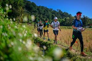 BIB: 
                            <button type="button" onclick="openModal(26576238)" class="btn btn-primary btn-sm float-right btn-popup" data-toggle="modal" data-target=".modal-high-quality">
                        <i class="fas fa-shopping-cart"></i> Add to Cart
                    </button>
                                            <button type="button" onclick="isThisMe(26576238, true)" class="btn btn-success btn-sm float-right btn-popup btn-isme hidden" data-toggle="tooltip" data-placement="bottom" title="นี่คือรูปของคุณใช่ไหม คลิกที่นี่เพื่อเอาเข้าอัลบั้ม">
                        <i class="fas fa-plus"></i> Add to album
                    </button>
                    <button type="button" onclick="isThisMe(26576238, false)" class="btn btn-warning btn-sm float-right btn-popup btn-isnotme hidden">
                        <i class="fas fa-ban"></i> Remove from album
                    </button>