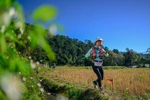 BIB: 
                            <button type="button" onclick="openModal(26579923)" class="btn btn-primary btn-sm float-right btn-popup" data-toggle="modal" data-target=".modal-high-quality">
                        <i class="fas fa-shopping-cart"></i> Add to Cart
                    </button>
                                            <button type="button" onclick="isThisMe(26579923, true)" class="btn btn-success btn-sm float-right btn-popup btn-isme hidden" data-toggle="tooltip" data-placement="bottom" title="นี่คือรูปของคุณใช่ไหม คลิกที่นี่เพื่อเอาเข้าอัลบั้ม">
                        <i class="fas fa-plus"></i> Add to album
                    </button>
                    <button type="button" onclick="isThisMe(26579923, false)" class="btn btn-warning btn-sm float-right btn-popup btn-isnotme hidden">
                        <i class="fas fa-ban"></i> Remove from album
                    </button>