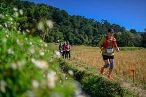 BIB: 
                            <button type="button" onclick="openModal(26583183)" class="btn btn-primary btn-sm float-right btn-popup" data-toggle="modal" data-target=".modal-high-quality">
                        <i class="fas fa-shopping-cart"></i> Add to Cart
                    </button>
                                            <button type="button" onclick="isThisMe(26583183, true)" class="btn btn-success btn-sm float-right btn-popup btn-isme hidden" data-toggle="tooltip" data-placement="bottom" title="นี่คือรูปของคุณใช่ไหม คลิกที่นี่เพื่อเอาเข้าอัลบั้ม">
                        <i class="fas fa-plus"></i> Add to album
                    </button>
                    <button type="button" onclick="isThisMe(26583183, false)" class="btn btn-warning btn-sm float-right btn-popup btn-isnotme hidden">
                        <i class="fas fa-ban"></i> Remove from album
                    </button>