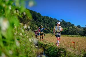 BIB: 
                            <button type="button" onclick="openModal(26580431)" class="btn btn-primary btn-sm float-right btn-popup" data-toggle="modal" data-target=".modal-high-quality">
                        <i class="fas fa-shopping-cart"></i> Add to Cart
                    </button>
                                            <button type="button" onclick="isThisMe(26580431, true)" class="btn btn-success btn-sm float-right btn-popup btn-isme hidden" data-toggle="tooltip" data-placement="bottom" title="นี่คือรูปของคุณใช่ไหม คลิกที่นี่เพื่อเอาเข้าอัลบั้ม">
                        <i class="fas fa-plus"></i> Add to album
                    </button>
                    <button type="button" onclick="isThisMe(26580431, false)" class="btn btn-warning btn-sm float-right btn-popup btn-isnotme hidden">
                        <i class="fas fa-ban"></i> Remove from album
                    </button>