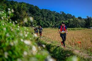 BIB: 
                            <button type="button" onclick="openModal(26582345)" class="btn btn-primary btn-sm float-right btn-popup" data-toggle="modal" data-target=".modal-high-quality">
                        <i class="fas fa-shopping-cart"></i> Add to Cart
                    </button>
                                            <button type="button" onclick="isThisMe(26582345, true)" class="btn btn-success btn-sm float-right btn-popup btn-isme hidden" data-toggle="tooltip" data-placement="bottom" title="นี่คือรูปของคุณใช่ไหม คลิกที่นี่เพื่อเอาเข้าอัลบั้ม">
                        <i class="fas fa-plus"></i> Add to album
                    </button>
                    <button type="button" onclick="isThisMe(26582345, false)" class="btn btn-warning btn-sm float-right btn-popup btn-isnotme hidden">
                        <i class="fas fa-ban"></i> Remove from album
                    </button>