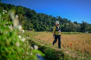 BIB: 
                            <button type="button" onclick="openModal(26575941)" class="btn btn-primary btn-sm float-right btn-popup" data-toggle="modal" data-target=".modal-high-quality">
                        <i class="fas fa-shopping-cart"></i> Add to Cart
                    </button>
                                            <button type="button" onclick="isThisMe(26575941, true)" class="btn btn-success btn-sm float-right btn-popup btn-isme hidden" data-toggle="tooltip" data-placement="bottom" title="นี่คือรูปของคุณใช่ไหม คลิกที่นี่เพื่อเอาเข้าอัลบั้ม">
                        <i class="fas fa-plus"></i> Add to album
                    </button>
                    <button type="button" onclick="isThisMe(26575941, false)" class="btn btn-warning btn-sm float-right btn-popup btn-isnotme hidden">
                        <i class="fas fa-ban"></i> Remove from album
                    </button>