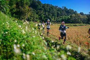 BIB: 
                            <button type="button" onclick="openModal(26571293)" class="btn btn-primary btn-sm float-right btn-popup" data-toggle="modal" data-target=".modal-high-quality">
                        <i class="fas fa-shopping-cart"></i> Add to Cart
                    </button>
                                            <button type="button" onclick="isThisMe(26571293, true)" class="btn btn-success btn-sm float-right btn-popup btn-isme hidden" data-toggle="tooltip" data-placement="bottom" title="นี่คือรูปของคุณใช่ไหม คลิกที่นี่เพื่อเอาเข้าอัลบั้ม">
                        <i class="fas fa-plus"></i> Add to album
                    </button>
                    <button type="button" onclick="isThisMe(26571293, false)" class="btn btn-warning btn-sm float-right btn-popup btn-isnotme hidden">
                        <i class="fas fa-ban"></i> Remove from album
                    </button>