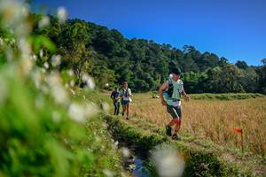 BIB: 
                            <button type="button" onclick="openModal(26573851)" class="btn btn-primary btn-sm float-right btn-popup" data-toggle="modal" data-target=".modal-high-quality">
                        <i class="fas fa-shopping-cart"></i> Add to Cart
                    </button>
                                            <button type="button" onclick="isThisMe(26573851, true)" class="btn btn-success btn-sm float-right btn-popup btn-isme hidden" data-toggle="tooltip" data-placement="bottom" title="นี่คือรูปของคุณใช่ไหม คลิกที่นี่เพื่อเอาเข้าอัลบั้ม">
                        <i class="fas fa-plus"></i> Add to album
                    </button>
                    <button type="button" onclick="isThisMe(26573851, false)" class="btn btn-warning btn-sm float-right btn-popup btn-isnotme hidden">
                        <i class="fas fa-ban"></i> Remove from album
                    </button>