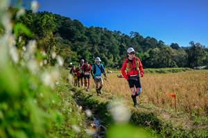 BIB: 
                            <button type="button" onclick="openModal(26573020)" class="btn btn-primary btn-sm float-right btn-popup" data-toggle="modal" data-target=".modal-high-quality">
                        <i class="fas fa-shopping-cart"></i> Add to Cart
                    </button>
                                            <button type="button" onclick="isThisMe(26573020, true)" class="btn btn-success btn-sm float-right btn-popup btn-isme hidden" data-toggle="tooltip" data-placement="bottom" title="นี่คือรูปของคุณใช่ไหม คลิกที่นี่เพื่อเอาเข้าอัลบั้ม">
                        <i class="fas fa-plus"></i> Add to album
                    </button>
                    <button type="button" onclick="isThisMe(26573020, false)" class="btn btn-warning btn-sm float-right btn-popup btn-isnotme hidden">
                        <i class="fas fa-ban"></i> Remove from album
                    </button>