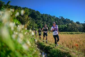 BIB: 
                            <button type="button" onclick="openModal(26571527)" class="btn btn-primary btn-sm float-right btn-popup" data-toggle="modal" data-target=".modal-high-quality">
                        <i class="fas fa-shopping-cart"></i> Add to Cart
                    </button>
                                            <button type="button" onclick="isThisMe(26571527, true)" class="btn btn-success btn-sm float-right btn-popup btn-isme hidden" data-toggle="tooltip" data-placement="bottom" title="นี่คือรูปของคุณใช่ไหม คลิกที่นี่เพื่อเอาเข้าอัลบั้ม">
                        <i class="fas fa-plus"></i> Add to album
                    </button>
                    <button type="button" onclick="isThisMe(26571527, false)" class="btn btn-warning btn-sm float-right btn-popup btn-isnotme hidden">
                        <i class="fas fa-ban"></i> Remove from album
                    </button>