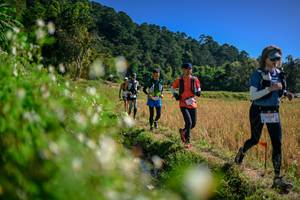 BIB: 
                            <button type="button" onclick="openModal(26576327)" class="btn btn-primary btn-sm float-right btn-popup" data-toggle="modal" data-target=".modal-high-quality">
                        <i class="fas fa-shopping-cart"></i> Add to Cart
                    </button>
                                            <button type="button" onclick="isThisMe(26576327, true)" class="btn btn-success btn-sm float-right btn-popup btn-isme hidden" data-toggle="tooltip" data-placement="bottom" title="นี่คือรูปของคุณใช่ไหม คลิกที่นี่เพื่อเอาเข้าอัลบั้ม">
                        <i class="fas fa-plus"></i> Add to album
                    </button>
                    <button type="button" onclick="isThisMe(26576327, false)" class="btn btn-warning btn-sm float-right btn-popup btn-isnotme hidden">
                        <i class="fas fa-ban"></i> Remove from album
                    </button>