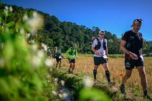 BIB: 
                            <button type="button" onclick="openModal(26575589)" class="btn btn-primary btn-sm float-right btn-popup" data-toggle="modal" data-target=".modal-high-quality">
                        <i class="fas fa-shopping-cart"></i> Add to Cart
                    </button>
                                            <button type="button" onclick="isThisMe(26575589, true)" class="btn btn-success btn-sm float-right btn-popup btn-isme hidden" data-toggle="tooltip" data-placement="bottom" title="นี่คือรูปของคุณใช่ไหม คลิกที่นี่เพื่อเอาเข้าอัลบั้ม">
                        <i class="fas fa-plus"></i> Add to album
                    </button>
                    <button type="button" onclick="isThisMe(26575589, false)" class="btn btn-warning btn-sm float-right btn-popup btn-isnotme hidden">
                        <i class="fas fa-ban"></i> Remove from album
                    </button>