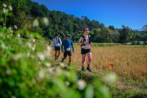 BIB: 
                            <button type="button" onclick="openModal(26581484)" class="btn btn-primary btn-sm float-right btn-popup" data-toggle="modal" data-target=".modal-high-quality">
                        <i class="fas fa-shopping-cart"></i> Add to Cart
                    </button>
                                            <button type="button" onclick="isThisMe(26581484, true)" class="btn btn-success btn-sm float-right btn-popup btn-isme hidden" data-toggle="tooltip" data-placement="bottom" title="นี่คือรูปของคุณใช่ไหม คลิกที่นี่เพื่อเอาเข้าอัลบั้ม">
                        <i class="fas fa-plus"></i> Add to album
                    </button>
                    <button type="button" onclick="isThisMe(26581484, false)" class="btn btn-warning btn-sm float-right btn-popup btn-isnotme hidden">
                        <i class="fas fa-ban"></i> Remove from album
                    </button>