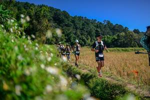 BIB: 
                            <button type="button" onclick="openModal(26582073)" class="btn btn-primary btn-sm float-right btn-popup" data-toggle="modal" data-target=".modal-high-quality">
                        <i class="fas fa-shopping-cart"></i> Add to Cart
                    </button>
                                            <button type="button" onclick="isThisMe(26582073, true)" class="btn btn-success btn-sm float-right btn-popup btn-isme hidden" data-toggle="tooltip" data-placement="bottom" title="นี่คือรูปของคุณใช่ไหม คลิกที่นี่เพื่อเอาเข้าอัลบั้ม">
                        <i class="fas fa-plus"></i> Add to album
                    </button>
                    <button type="button" onclick="isThisMe(26582073, false)" class="btn btn-warning btn-sm float-right btn-popup btn-isnotme hidden">
                        <i class="fas fa-ban"></i> Remove from album
                    </button>