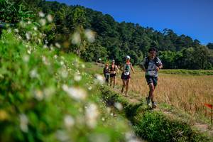 BIB: 
                            <button type="button" onclick="openModal(26583080)" class="btn btn-primary btn-sm float-right btn-popup" data-toggle="modal" data-target=".modal-high-quality">
                        <i class="fas fa-shopping-cart"></i> Add to Cart
                    </button>
                                            <button type="button" onclick="isThisMe(26583080, true)" class="btn btn-success btn-sm float-right btn-popup btn-isme hidden" data-toggle="tooltip" data-placement="bottom" title="นี่คือรูปของคุณใช่ไหม คลิกที่นี่เพื่อเอาเข้าอัลบั้ม">
                        <i class="fas fa-plus"></i> Add to album
                    </button>
                    <button type="button" onclick="isThisMe(26583080, false)" class="btn btn-warning btn-sm float-right btn-popup btn-isnotme hidden">
                        <i class="fas fa-ban"></i> Remove from album
                    </button>