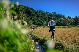 BIB: 
                            <button type="button" onclick="openModal(26573922)" class="btn btn-primary btn-sm float-right btn-popup" data-toggle="modal" data-target=".modal-high-quality">
                        <i class="fas fa-shopping-cart"></i> Add to Cart
                    </button>
                                            <button type="button" onclick="isThisMe(26573922, true)" class="btn btn-success btn-sm float-right btn-popup btn-isme hidden" data-toggle="tooltip" data-placement="bottom" title="นี่คือรูปของคุณใช่ไหม คลิกที่นี่เพื่อเอาเข้าอัลบั้ม">
                        <i class="fas fa-plus"></i> Add to album
                    </button>
                    <button type="button" onclick="isThisMe(26573922, false)" class="btn btn-warning btn-sm float-right btn-popup btn-isnotme hidden">
                        <i class="fas fa-ban"></i> Remove from album
                    </button>