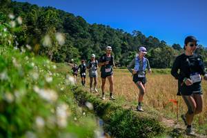 BIB: 
                            <button type="button" onclick="openModal(26582890)" class="btn btn-primary btn-sm float-right btn-popup" data-toggle="modal" data-target=".modal-high-quality">
                        <i class="fas fa-shopping-cart"></i> Add to Cart
                    </button>
                                            <button type="button" onclick="isThisMe(26582890, true)" class="btn btn-success btn-sm float-right btn-popup btn-isme hidden" data-toggle="tooltip" data-placement="bottom" title="นี่คือรูปของคุณใช่ไหม คลิกที่นี่เพื่อเอาเข้าอัลบั้ม">
                        <i class="fas fa-plus"></i> Add to album
                    </button>
                    <button type="button" onclick="isThisMe(26582890, false)" class="btn btn-warning btn-sm float-right btn-popup btn-isnotme hidden">
                        <i class="fas fa-ban"></i> Remove from album
                    </button>