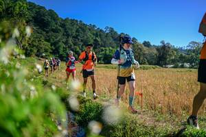 BIB: 
                            <button type="button" onclick="openModal(26579603)" class="btn btn-primary btn-sm float-right btn-popup" data-toggle="modal" data-target=".modal-high-quality">
                        <i class="fas fa-shopping-cart"></i> Add to Cart
                    </button>
                                            <button type="button" onclick="isThisMe(26579603, true)" class="btn btn-success btn-sm float-right btn-popup btn-isme hidden" data-toggle="tooltip" data-placement="bottom" title="นี่คือรูปของคุณใช่ไหม คลิกที่นี่เพื่อเอาเข้าอัลบั้ม">
                        <i class="fas fa-plus"></i> Add to album
                    </button>
                    <button type="button" onclick="isThisMe(26579603, false)" class="btn btn-warning btn-sm float-right btn-popup btn-isnotme hidden">
                        <i class="fas fa-ban"></i> Remove from album
                    </button>