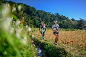 BIB: 
                            <button type="button" onclick="openModal(26571676)" class="btn btn-primary btn-sm float-right btn-popup" data-toggle="modal" data-target=".modal-high-quality">
                        <i class="fas fa-shopping-cart"></i> Add to Cart
                    </button>
                                            <button type="button" onclick="isThisMe(26571676, true)" class="btn btn-success btn-sm float-right btn-popup btn-isme hidden" data-toggle="tooltip" data-placement="bottom" title="นี่คือรูปของคุณใช่ไหม คลิกที่นี่เพื่อเอาเข้าอัลบั้ม">
                        <i class="fas fa-plus"></i> Add to album
                    </button>
                    <button type="button" onclick="isThisMe(26571676, false)" class="btn btn-warning btn-sm float-right btn-popup btn-isnotme hidden">
                        <i class="fas fa-ban"></i> Remove from album
                    </button>