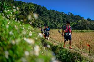 BIB: 
                            <button type="button" onclick="openModal(26583024)" class="btn btn-primary btn-sm float-right btn-popup" data-toggle="modal" data-target=".modal-high-quality">
                        <i class="fas fa-shopping-cart"></i> Add to Cart
                    </button>
                                            <button type="button" onclick="isThisMe(26583024, true)" class="btn btn-success btn-sm float-right btn-popup btn-isme hidden" data-toggle="tooltip" data-placement="bottom" title="นี่คือรูปของคุณใช่ไหม คลิกที่นี่เพื่อเอาเข้าอัลบั้ม">
                        <i class="fas fa-plus"></i> Add to album
                    </button>
                    <button type="button" onclick="isThisMe(26583024, false)" class="btn btn-warning btn-sm float-right btn-popup btn-isnotme hidden">
                        <i class="fas fa-ban"></i> Remove from album
                    </button>