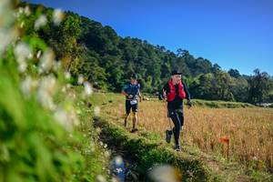 BIB: 
                            <button type="button" onclick="openModal(26571486)" class="btn btn-primary btn-sm float-right btn-popup" data-toggle="modal" data-target=".modal-high-quality">
                        <i class="fas fa-shopping-cart"></i> Add to Cart
                    </button>
                                            <button type="button" onclick="isThisMe(26571486, true)" class="btn btn-success btn-sm float-right btn-popup btn-isme hidden" data-toggle="tooltip" data-placement="bottom" title="นี่คือรูปของคุณใช่ไหม คลิกที่นี่เพื่อเอาเข้าอัลบั้ม">
                        <i class="fas fa-plus"></i> Add to album
                    </button>
                    <button type="button" onclick="isThisMe(26571486, false)" class="btn btn-warning btn-sm float-right btn-popup btn-isnotme hidden">
                        <i class="fas fa-ban"></i> Remove from album
                    </button>