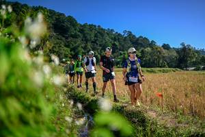 BIB: 
                            <button type="button" onclick="openModal(26575572)" class="btn btn-primary btn-sm float-right btn-popup" data-toggle="modal" data-target=".modal-high-quality">
                        <i class="fas fa-shopping-cart"></i> Add to Cart
                    </button>
                                            <button type="button" onclick="isThisMe(26575572, true)" class="btn btn-success btn-sm float-right btn-popup btn-isme hidden" data-toggle="tooltip" data-placement="bottom" title="นี่คือรูปของคุณใช่ไหม คลิกที่นี่เพื่อเอาเข้าอัลบั้ม">
                        <i class="fas fa-plus"></i> Add to album
                    </button>
                    <button type="button" onclick="isThisMe(26575572, false)" class="btn btn-warning btn-sm float-right btn-popup btn-isnotme hidden">
                        <i class="fas fa-ban"></i> Remove from album
                    </button>