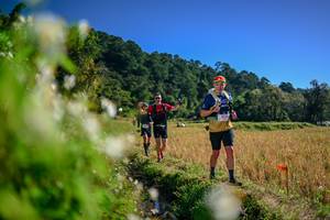 BIB: 
                            <button type="button" onclick="openModal(26573655)" class="btn btn-primary btn-sm float-right btn-popup" data-toggle="modal" data-target=".modal-high-quality">
                        <i class="fas fa-shopping-cart"></i> Add to Cart
                    </button>
                                            <button type="button" onclick="isThisMe(26573655, true)" class="btn btn-success btn-sm float-right btn-popup btn-isme hidden" data-toggle="tooltip" data-placement="bottom" title="นี่คือรูปของคุณใช่ไหม คลิกที่นี่เพื่อเอาเข้าอัลบั้ม">
                        <i class="fas fa-plus"></i> Add to album
                    </button>
                    <button type="button" onclick="isThisMe(26573655, false)" class="btn btn-warning btn-sm float-right btn-popup btn-isnotme hidden">
                        <i class="fas fa-ban"></i> Remove from album
                    </button>