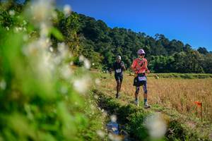 BIB: 
                            <button type="button" onclick="openModal(26572841)" class="btn btn-primary btn-sm float-right btn-popup" data-toggle="modal" data-target=".modal-high-quality">
                        <i class="fas fa-shopping-cart"></i> Add to Cart
                    </button>
                                            <button type="button" onclick="isThisMe(26572841, true)" class="btn btn-success btn-sm float-right btn-popup btn-isme hidden" data-toggle="tooltip" data-placement="bottom" title="นี่คือรูปของคุณใช่ไหม คลิกที่นี่เพื่อเอาเข้าอัลบั้ม">
                        <i class="fas fa-plus"></i> Add to album
                    </button>
                    <button type="button" onclick="isThisMe(26572841, false)" class="btn btn-warning btn-sm float-right btn-popup btn-isnotme hidden">
                        <i class="fas fa-ban"></i> Remove from album
                    </button>