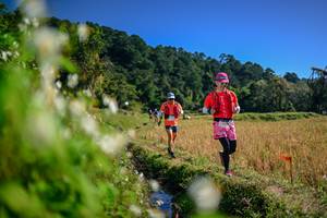 BIB: 
                            <button type="button" onclick="openModal(26574207)" class="btn btn-primary btn-sm float-right btn-popup" data-toggle="modal" data-target=".modal-high-quality">
                        <i class="fas fa-shopping-cart"></i> Add to Cart
                    </button>
                                            <button type="button" onclick="isThisMe(26574207, true)" class="btn btn-success btn-sm float-right btn-popup btn-isme hidden" data-toggle="tooltip" data-placement="bottom" title="นี่คือรูปของคุณใช่ไหม คลิกที่นี่เพื่อเอาเข้าอัลบั้ม">
                        <i class="fas fa-plus"></i> Add to album
                    </button>
                    <button type="button" onclick="isThisMe(26574207, false)" class="btn btn-warning btn-sm float-right btn-popup btn-isnotme hidden">
                        <i class="fas fa-ban"></i> Remove from album
                    </button>