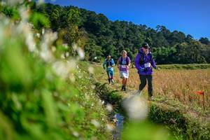 BIB: 
                            <button type="button" onclick="openModal(26573354)" class="btn btn-primary btn-sm float-right btn-popup" data-toggle="modal" data-target=".modal-high-quality">
                        <i class="fas fa-shopping-cart"></i> Add to Cart
                    </button>
                                            <button type="button" onclick="isThisMe(26573354, true)" class="btn btn-success btn-sm float-right btn-popup btn-isme hidden" data-toggle="tooltip" data-placement="bottom" title="นี่คือรูปของคุณใช่ไหม คลิกที่นี่เพื่อเอาเข้าอัลบั้ม">
                        <i class="fas fa-plus"></i> Add to album
                    </button>
                    <button type="button" onclick="isThisMe(26573354, false)" class="btn btn-warning btn-sm float-right btn-popup btn-isnotme hidden">
                        <i class="fas fa-ban"></i> Remove from album
                    </button>